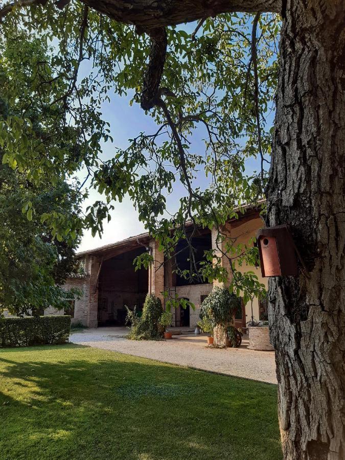 B&B Santa Cristina 蒙地基亚里 外观 照片