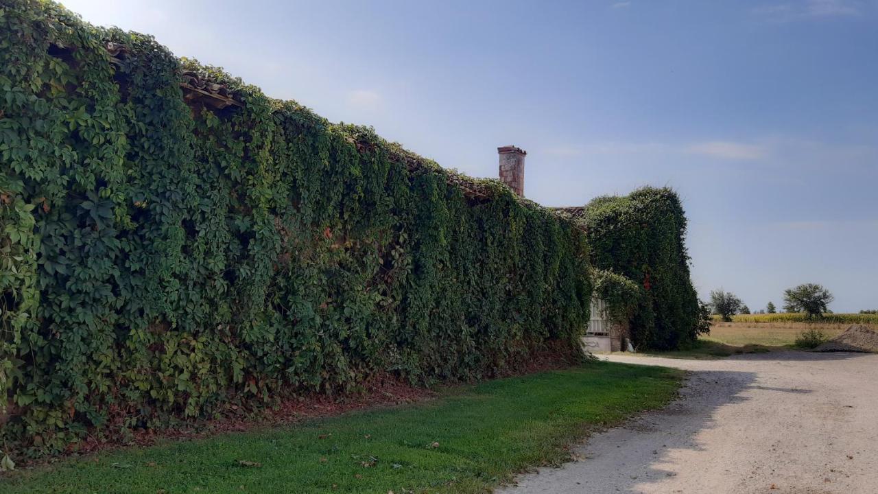 B&B Santa Cristina 蒙地基亚里 外观 照片