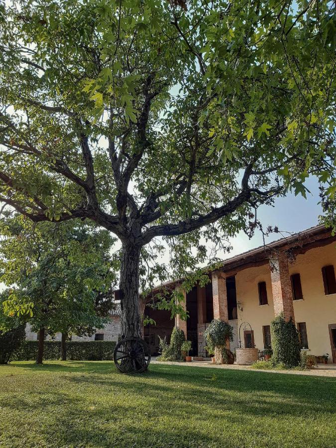 B&B Santa Cristina 蒙地基亚里 外观 照片